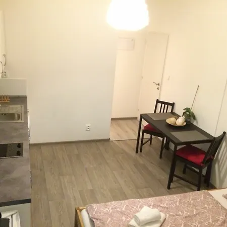 Apartment Nejedleho Prague