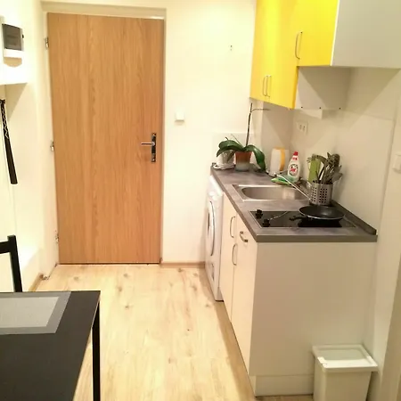 Nejedleho Apartment
