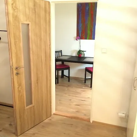 Apartment Nejedleho *