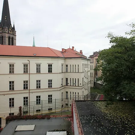 Nejedleho Apartment